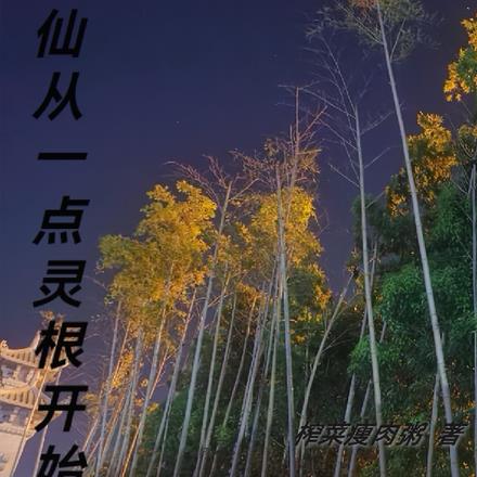 修仙从一点灵根开始